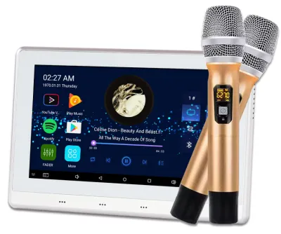 Karaoke with 2pcs micophones