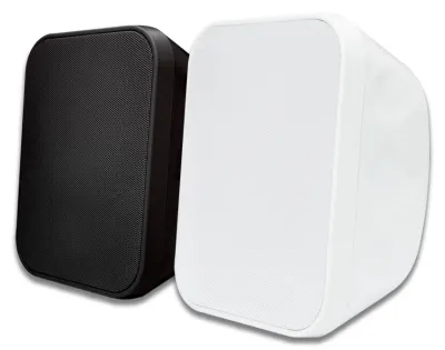 5.25inch wall speaker