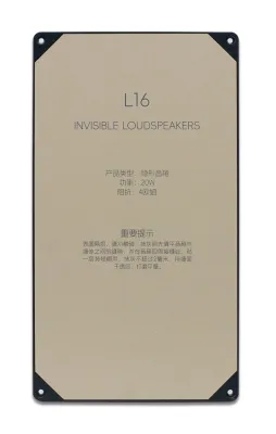 Invisible Speaker