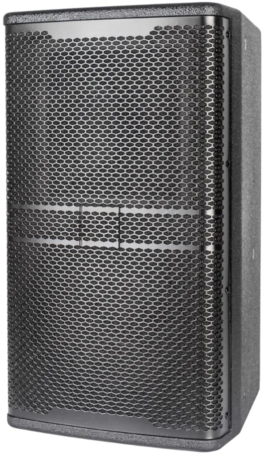 Image 1 of 10" Rear Oriented Entertainment Speaker