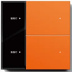 Tuya zigbee 2gang soft-touch PC switch